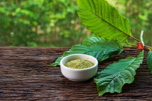 Kratom Powder: Understanding Its Effects on the Body